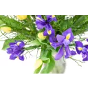 Kytice  jarních květů